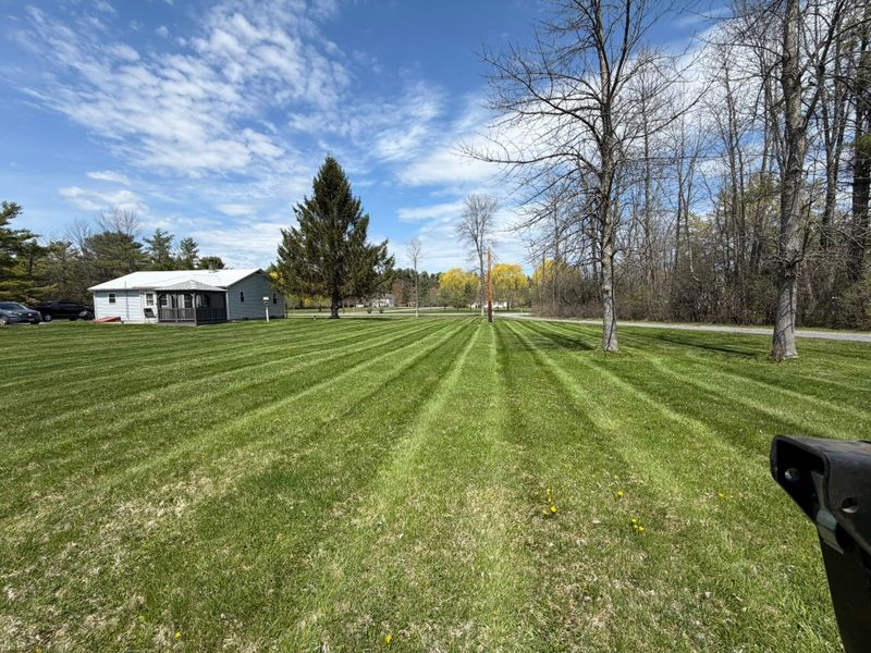 Lawn Maintenance