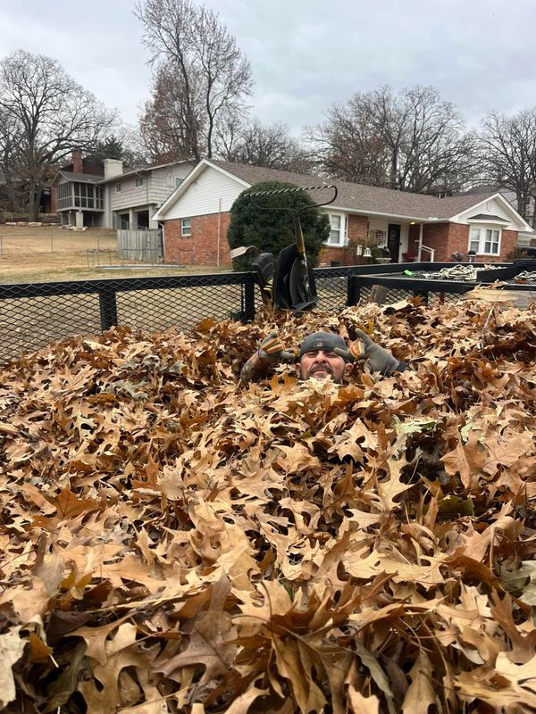 Lawn Maintenance