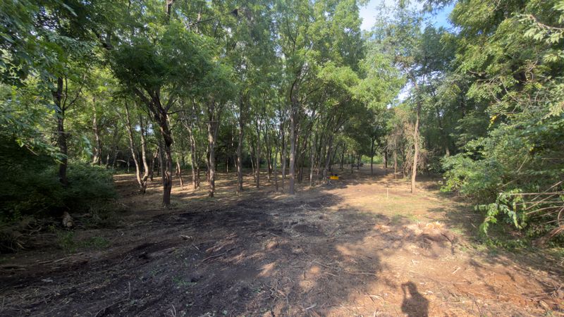 Timber Mulching & Clearing