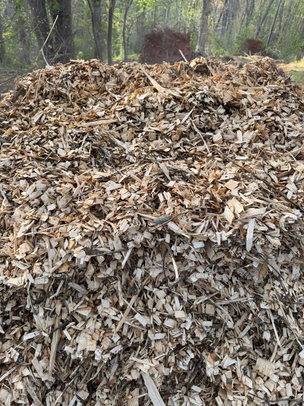 Fall Clean Up