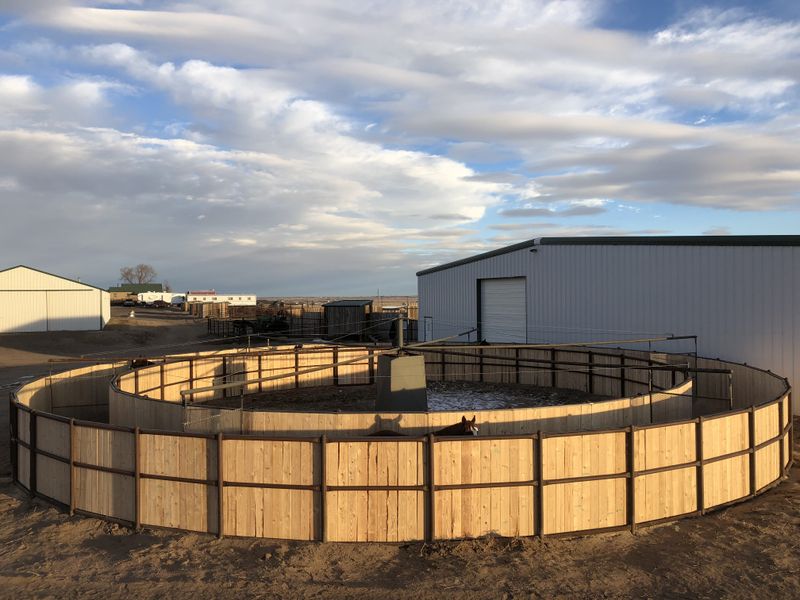 Working Arenas and Round Pens