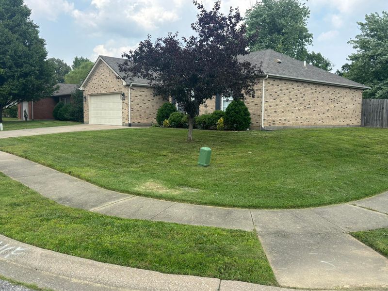 Landscaping 