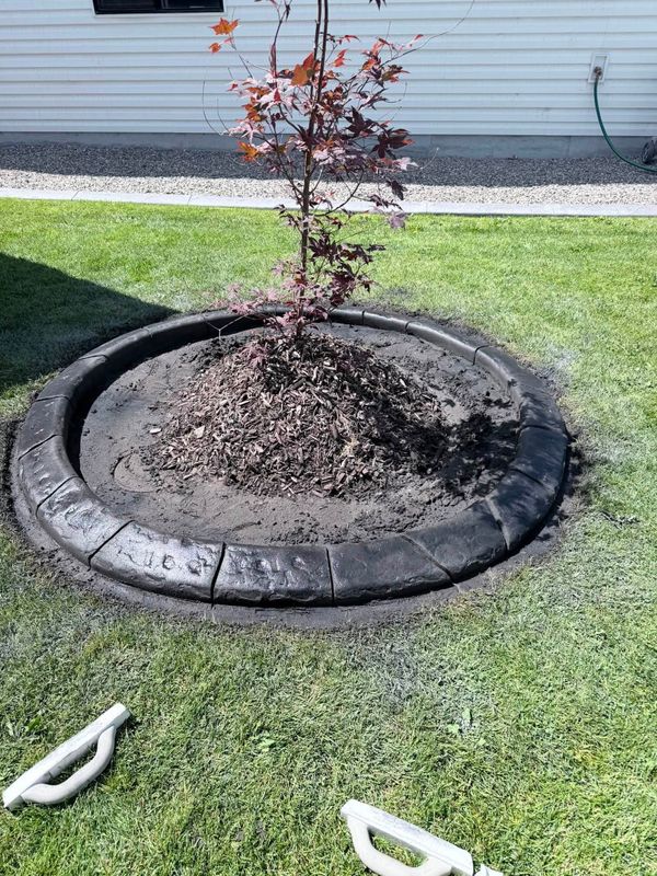 Landscape curbing projects