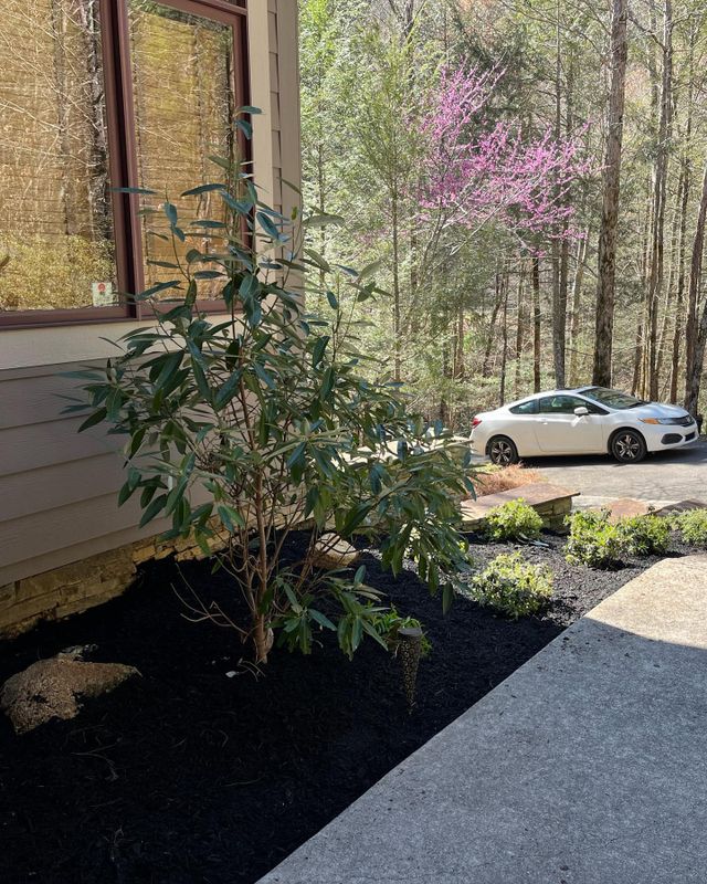 Landscaping