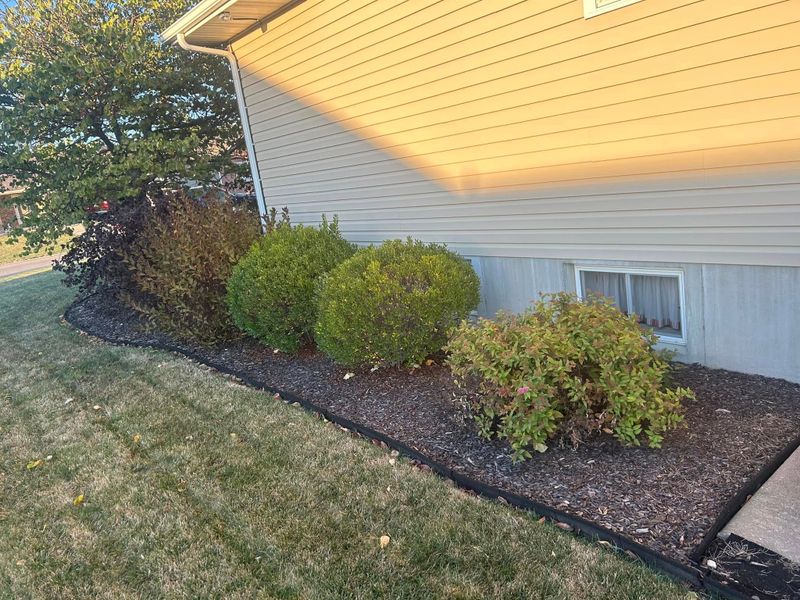 Landscaping