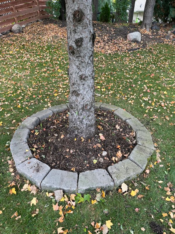 Garden Beds