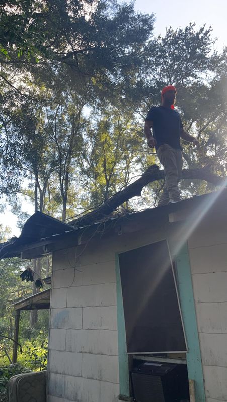 Tree company