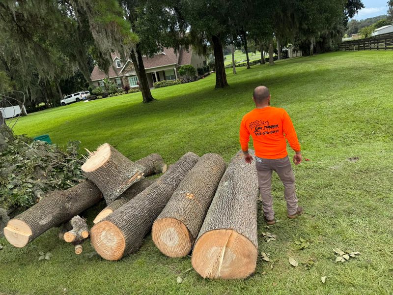 Debris Cleanup