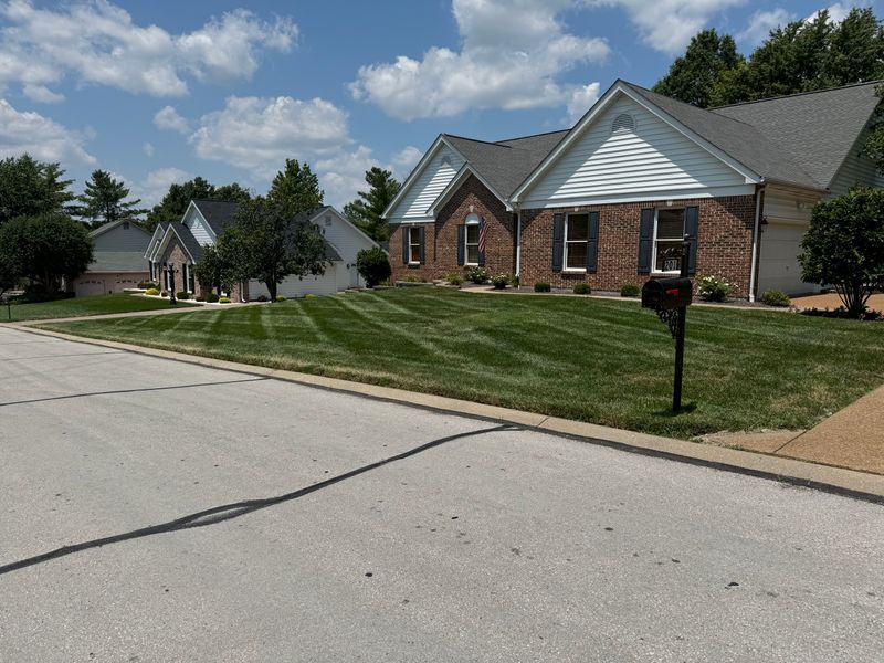 Lawn Care