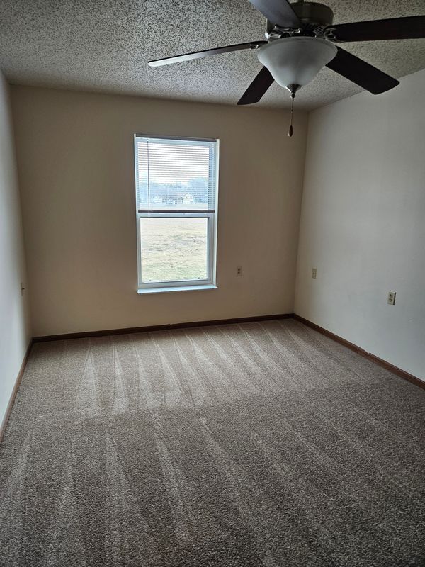 Carpet Cleaning