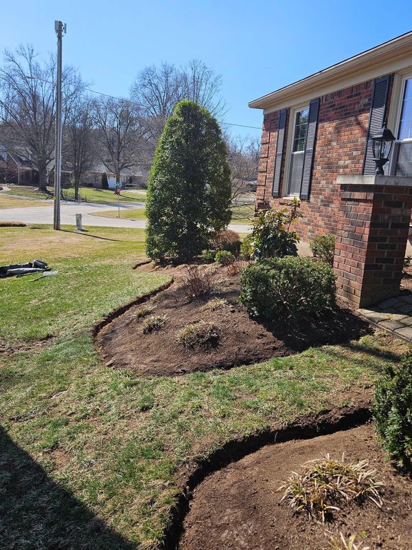 Landscape Installation