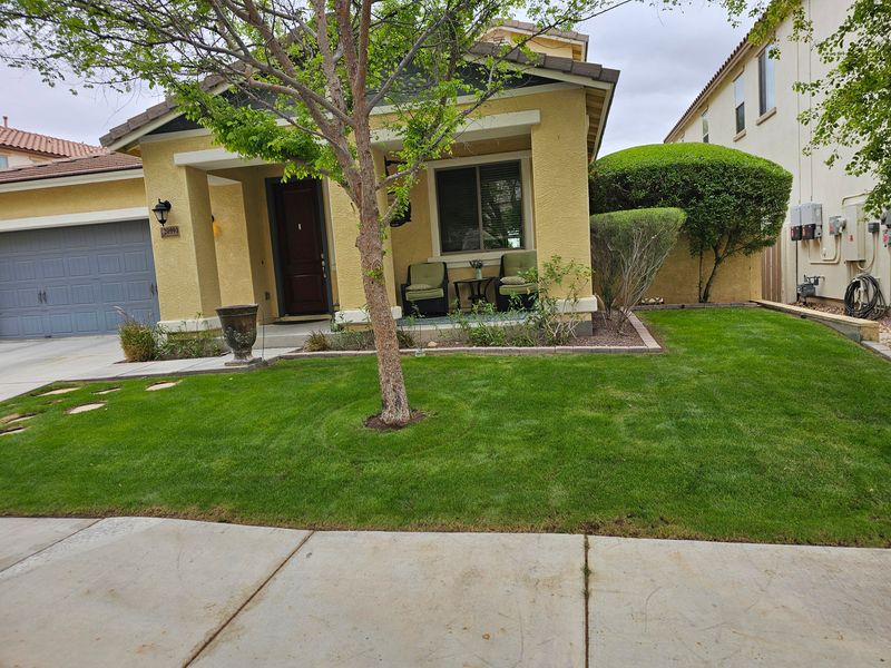 Lawn Maintenance / clean ups
