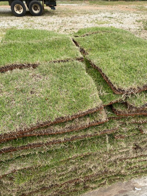 Sod Installation