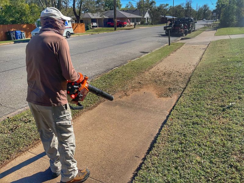 Fall Clean Up