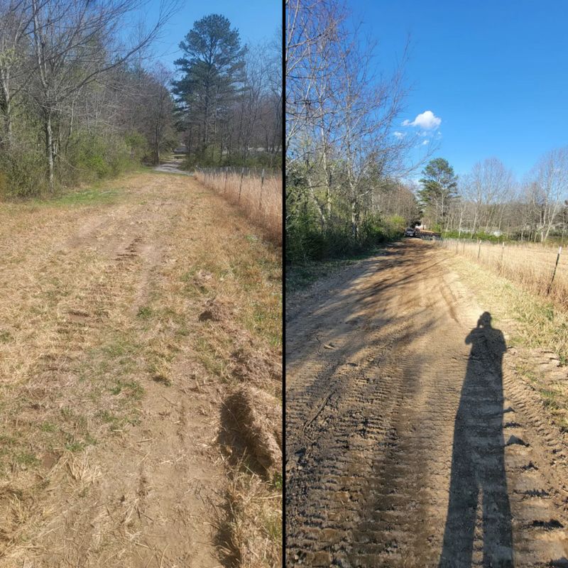 Land Clearing