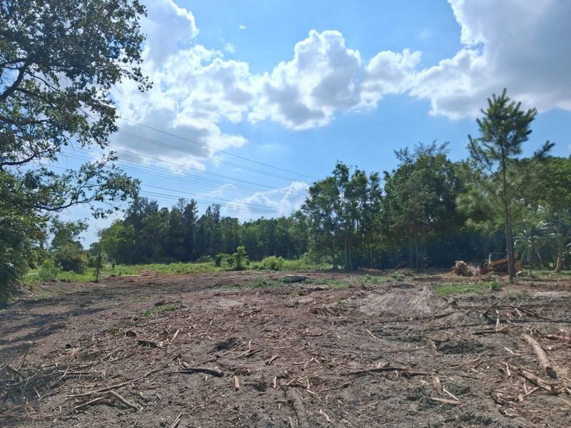 Residential Land Clearing