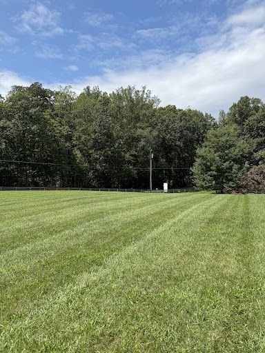 Lawn Maintenance