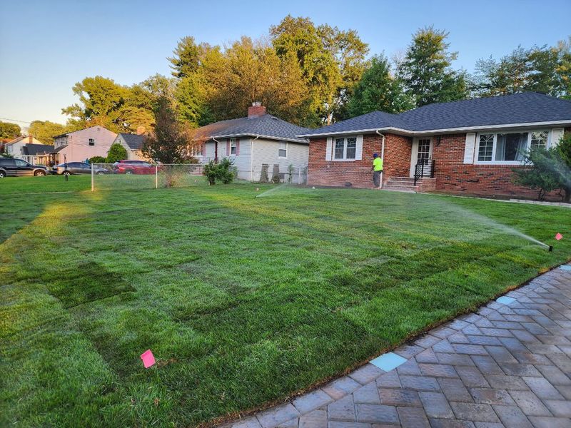 Transforming Curb Appeal with Expert Landscape Design and Lush Lawn Installation