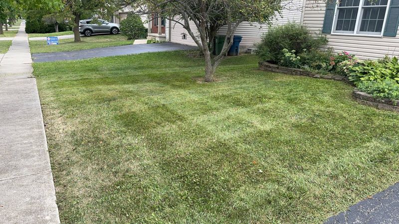 Lawn Care and Maintenance