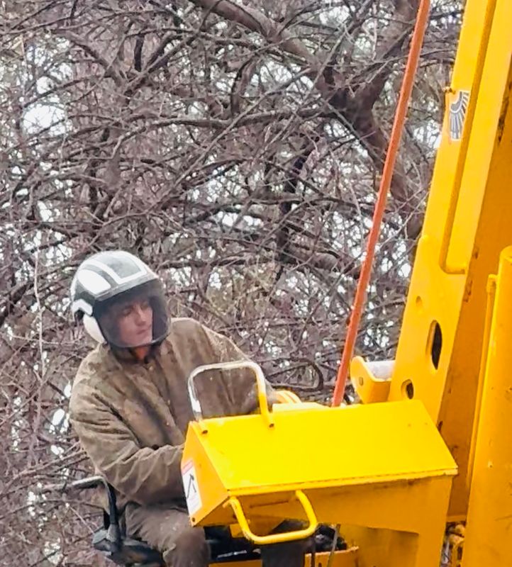 Tree Removal