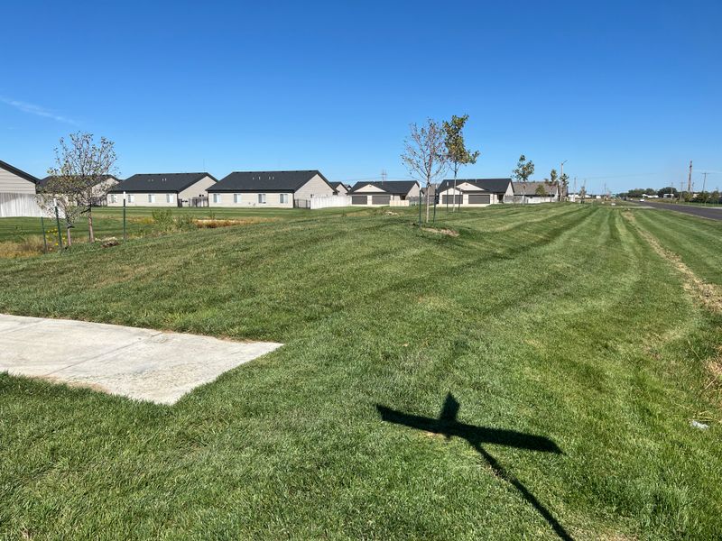 HOA Landscape Management
