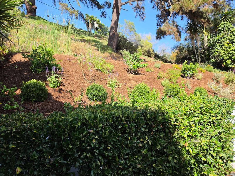 Mulch Installation