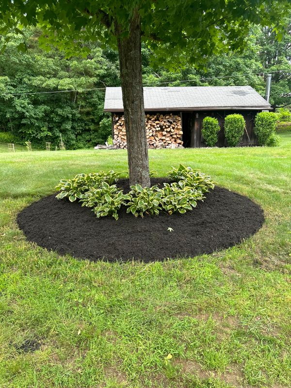 Landscape Design