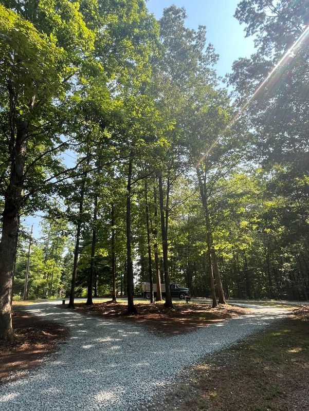 Brush cutting/clearing
