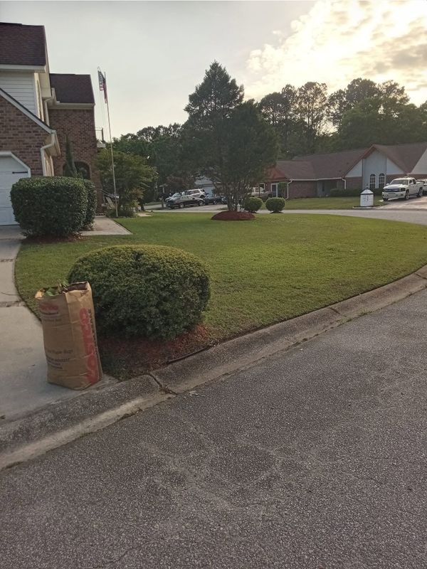 Lawn Maintenance