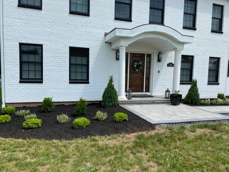 Plant & Shrub Installations