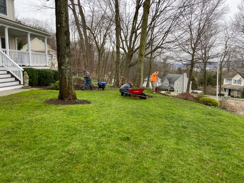 Landscaping