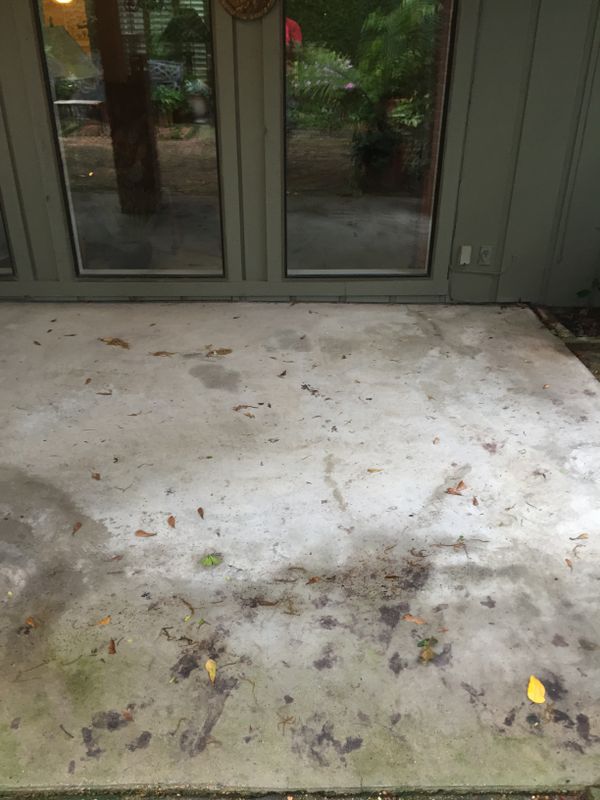 Acid Stain