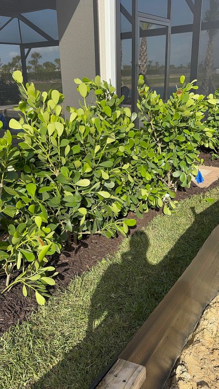 Landscaping