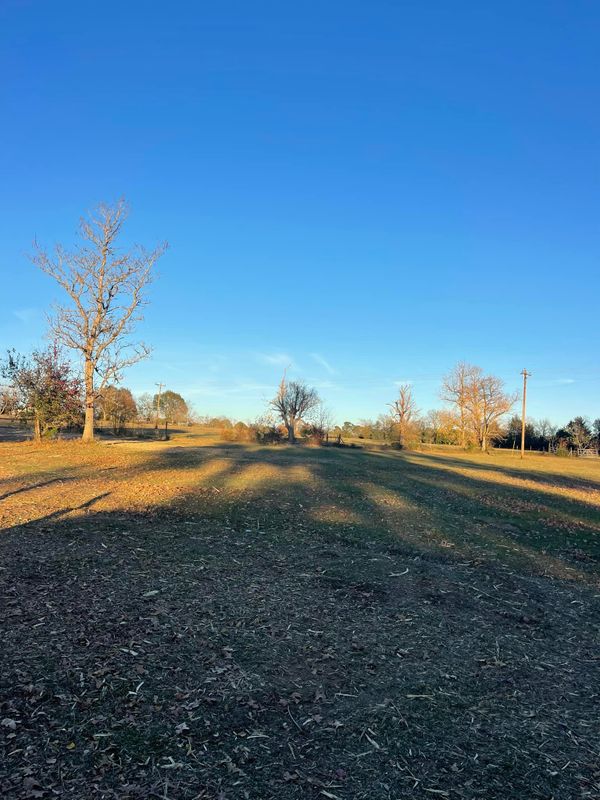 Land Clearing gallery