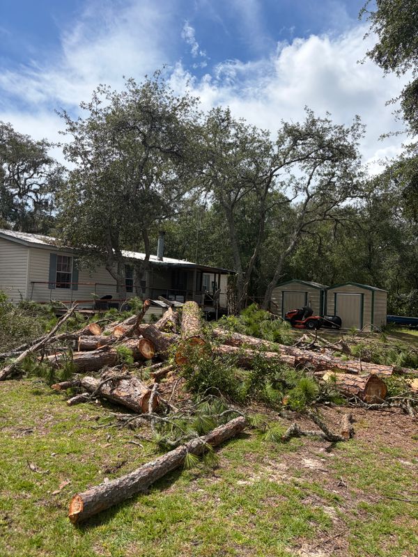 Stump Removal