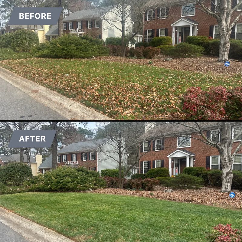 Shrub/Bush Trimming