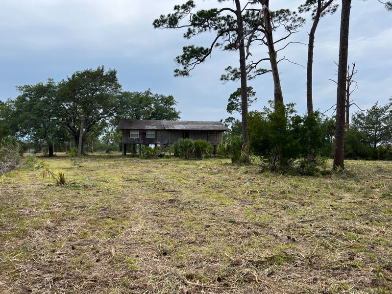 Brush cutting