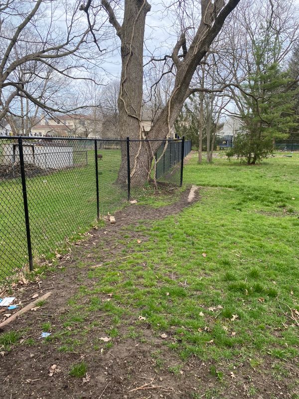 Chainlink Fences