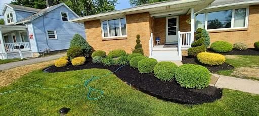 Lawn Care & Maintenance