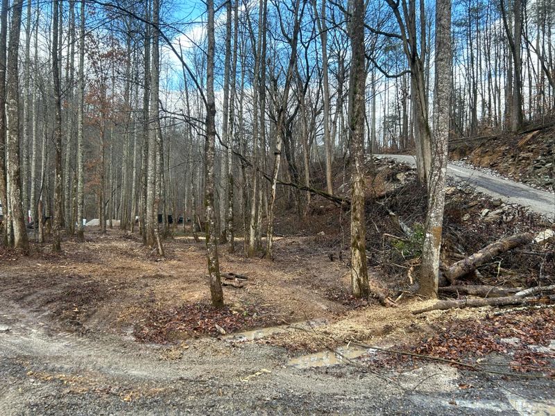 Land Clearing
