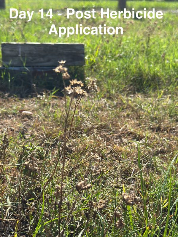 Custom Herbicide Treatments