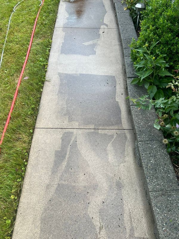 Driveway and Sidewalk Cleaning