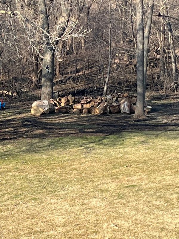 Firewood Processing