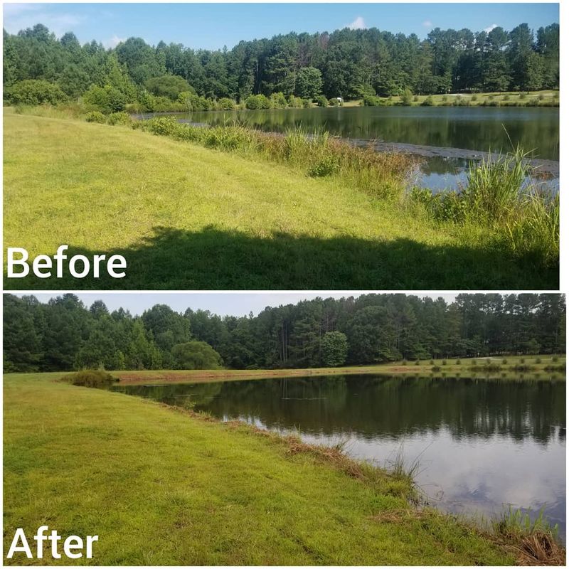 Pond Maintenance and Management