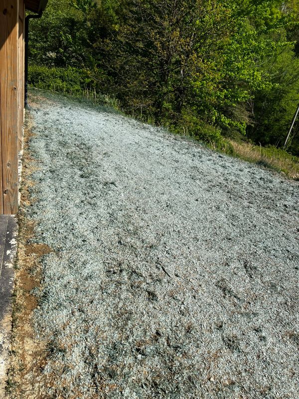 Hydroseeding 