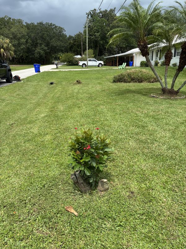 Lawn Care & Maintenance