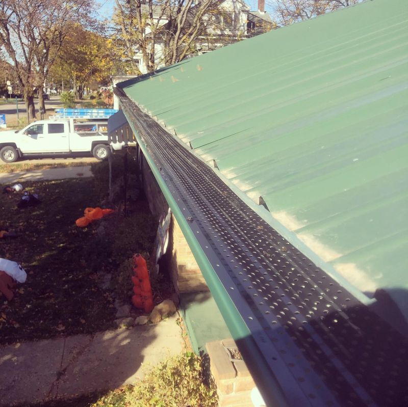 Leaf Protection