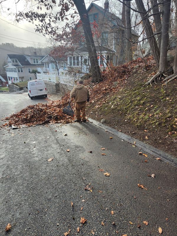 Fall Cleanups