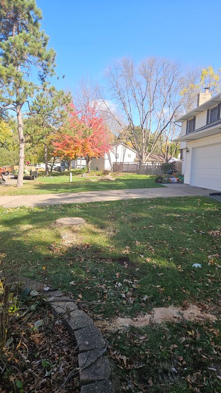 Stump Removal