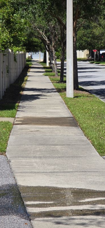 Driveway and Sidewalk Pressure Washing